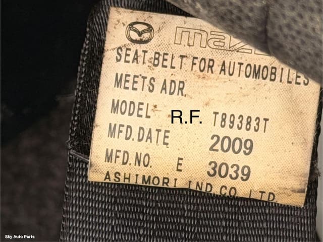 Seatbelt/Stalk