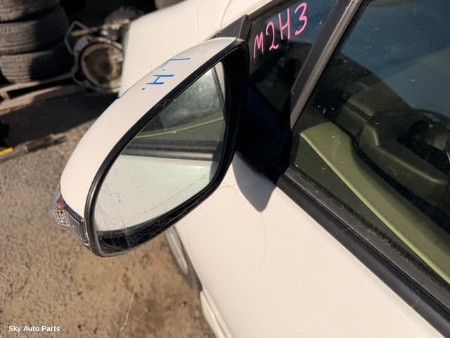 Left Door Mirror