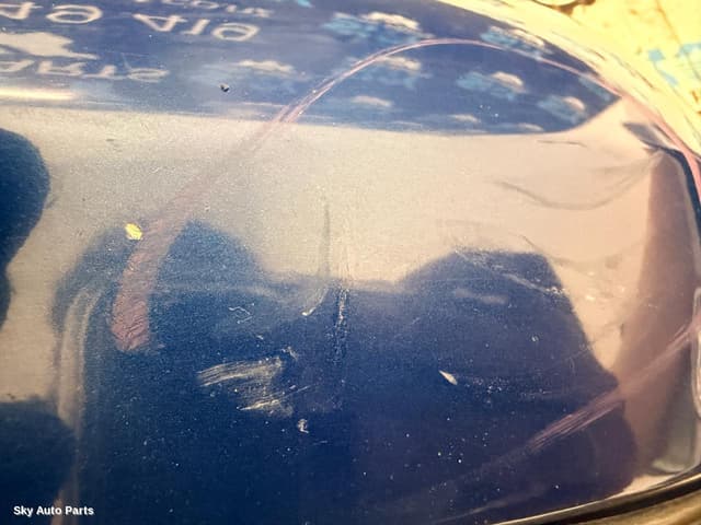 Left Door Mirror
