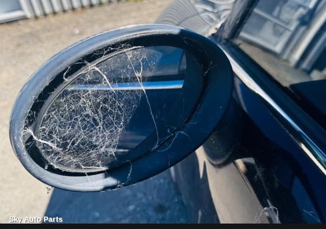 Left Door Mirror