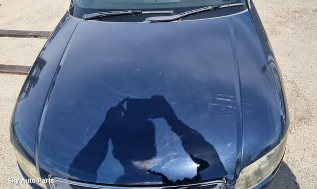 Bonnet