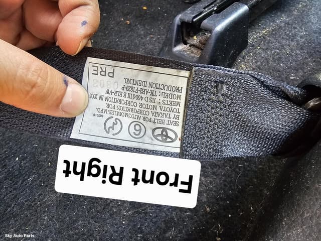 Seatbelt/Stalk