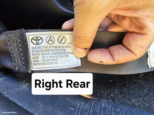 Seatbelt/Stalk
