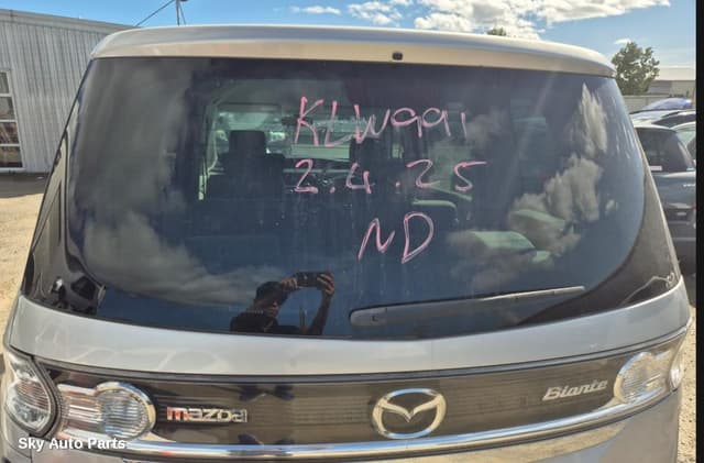 Rear/Tailgate Glass