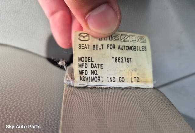 Seatbelt/Stalk