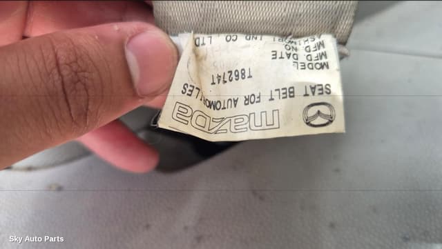 Seatbelt/Stalk