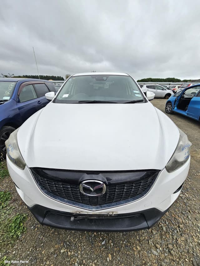 Bonnet