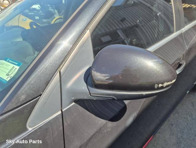 Left Door Mirror