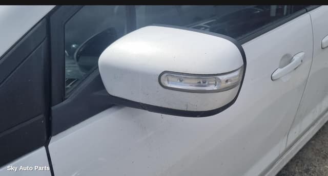 Left Door Mirror