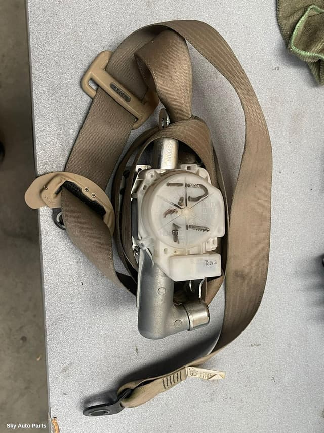 Seatbelt/Stalk