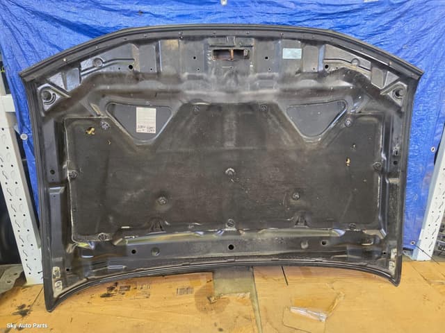 Bonnet