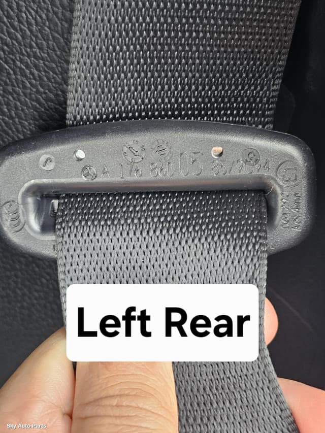 Seatbelt/Stalk