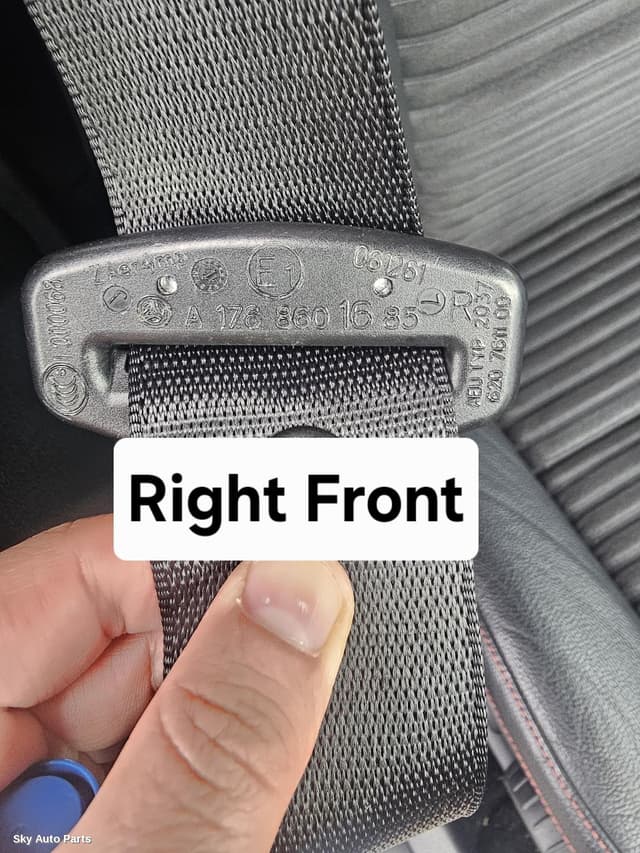 Seatbelt/Stalk