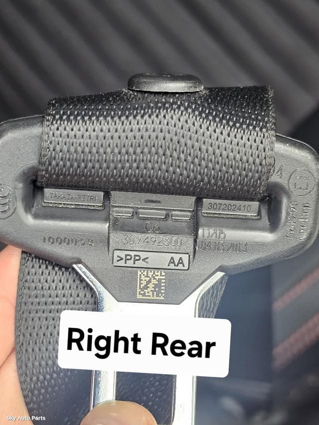 Seatbelt/Stalk