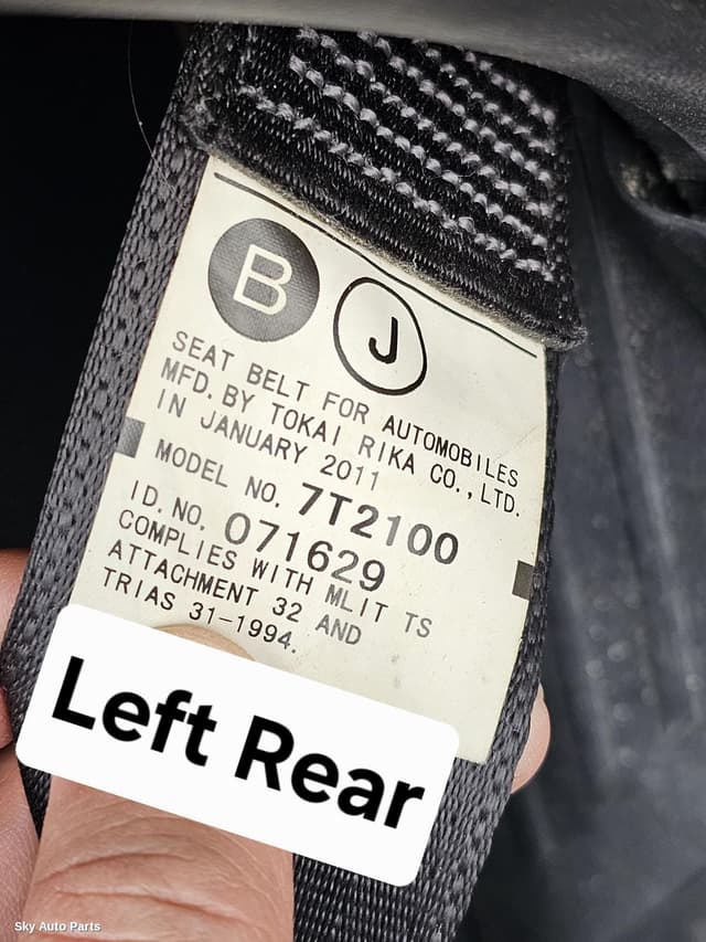 Seatbelt/Stalk