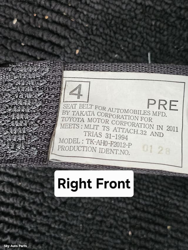 Seatbelt/Stalk