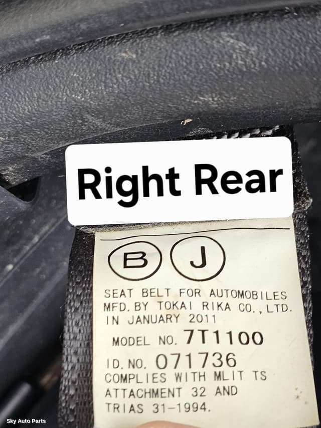 Seatbelt/Stalk