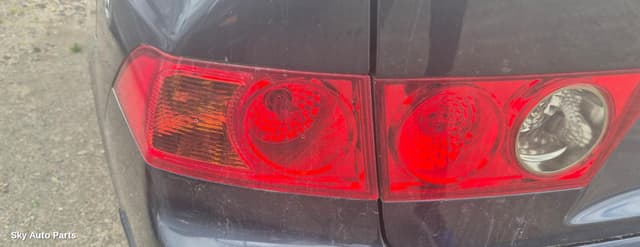 Left Taillight