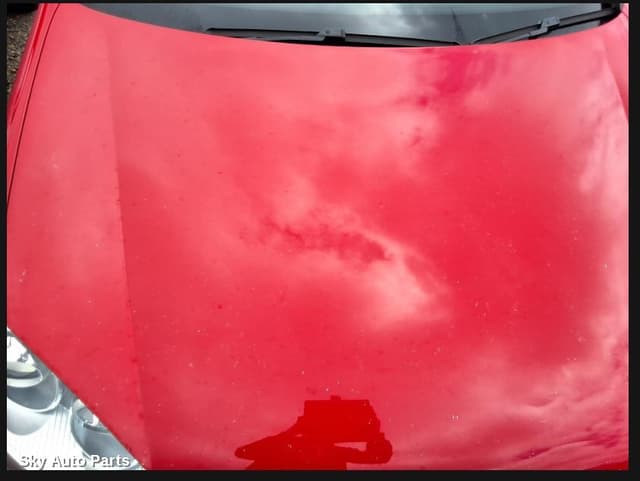 Bonnet