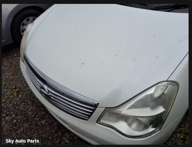 Bonnet
