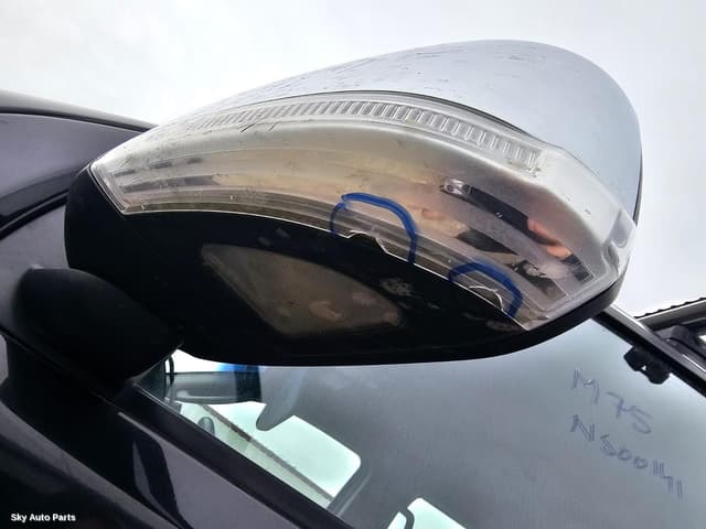 Left Door Mirror