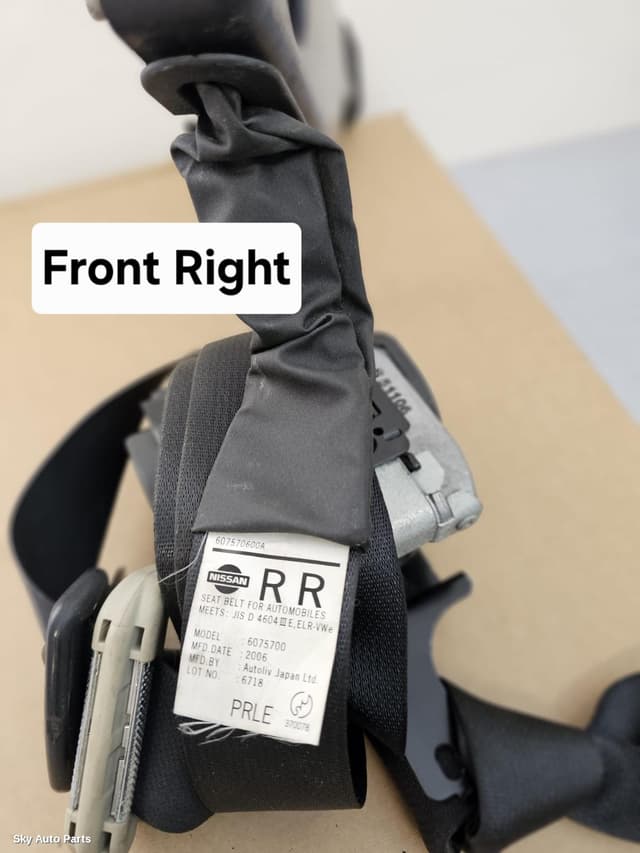 Seatbelt/Stalk