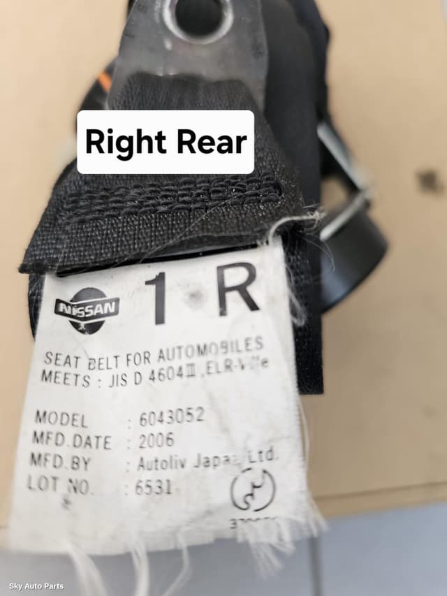 Seatbelt/Stalk