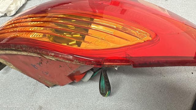 Right Taillight