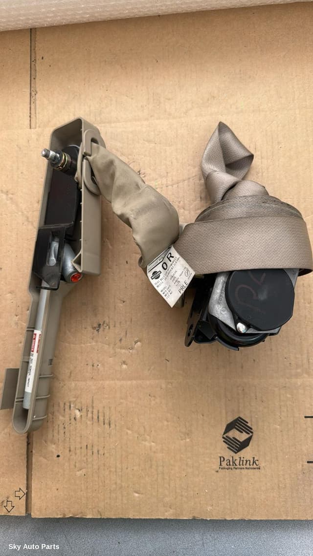 Seatbelt/Stalk