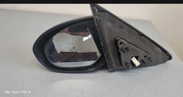 Left Door Mirror