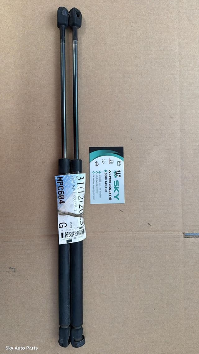 Hatch Strut
