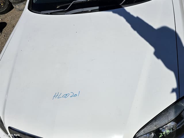Bonnet