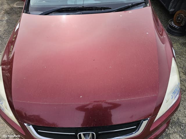 Bonnet