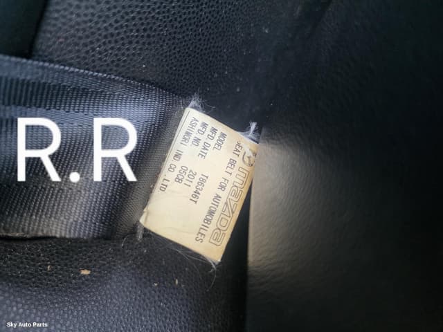 Seatbelt/Stalk