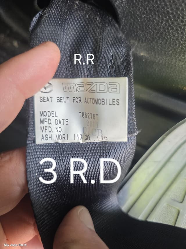 Seatbelt/Stalk