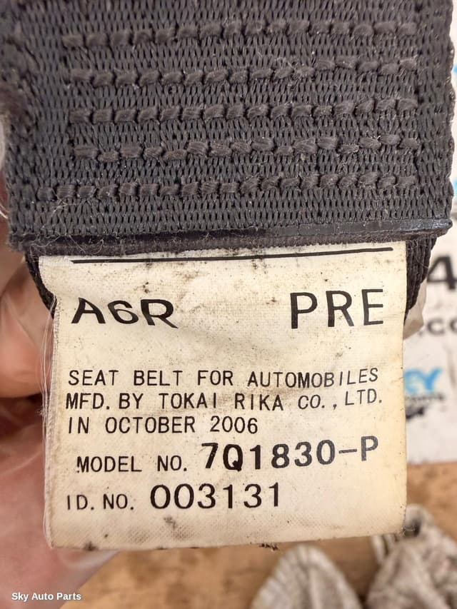 Seatbelt/Stalk