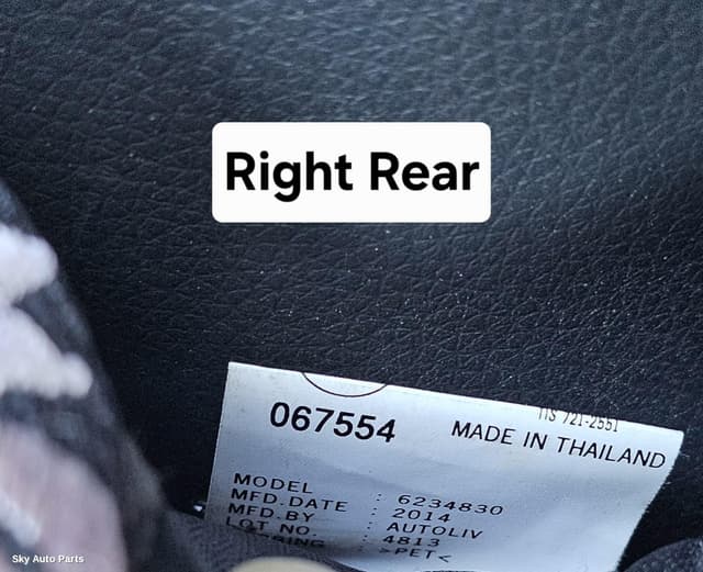 Seatbelt/Stalk