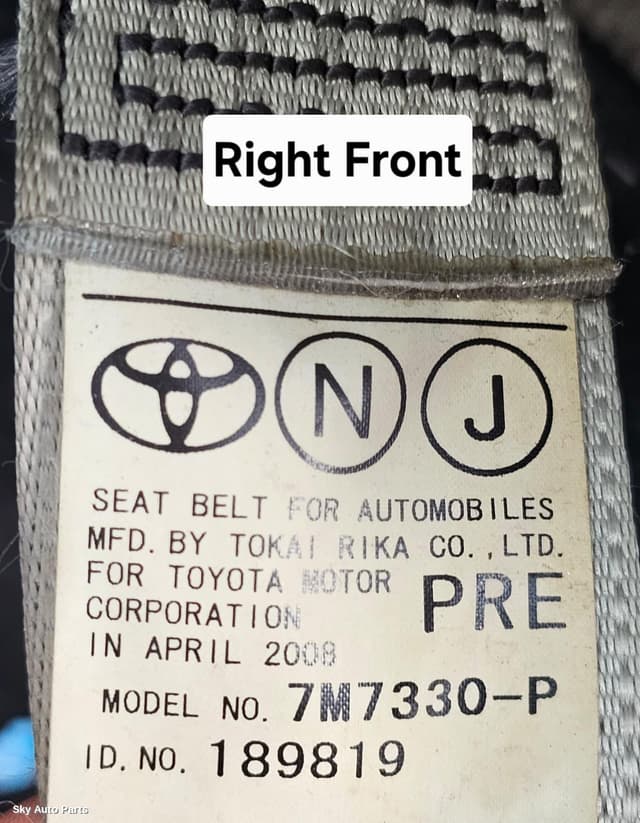 Seatbelt/Stalk
