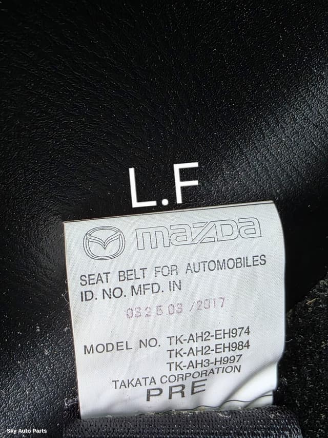 Seatbelt/Stalk