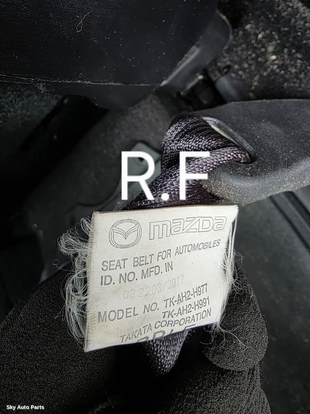 Seatbelt/Stalk
