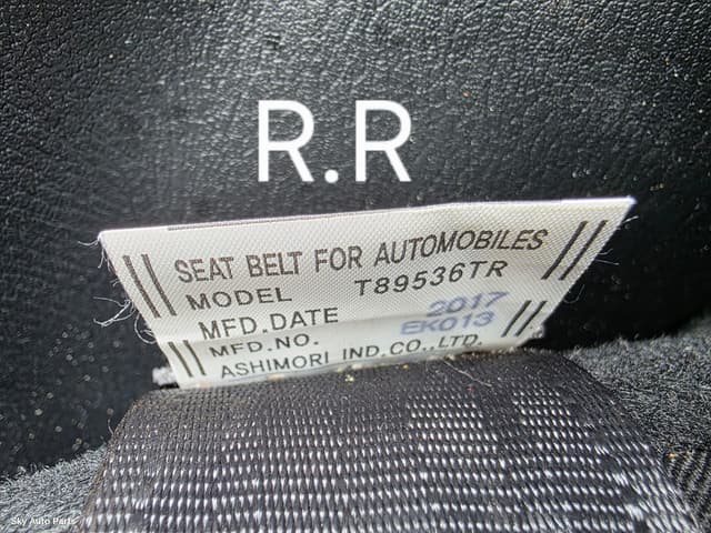 Seatbelt/Stalk