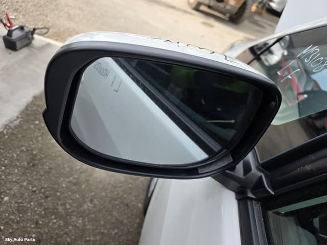 Left Door Mirror