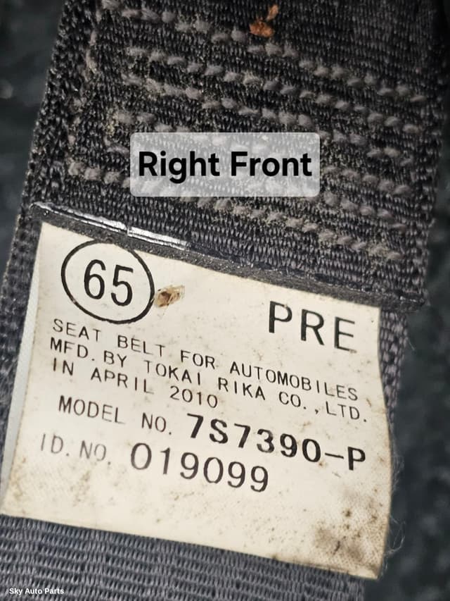 Seatbelt/Stalk