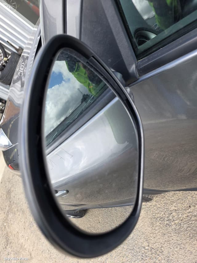 Left Door Mirror
