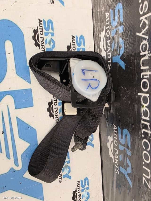 Seatbelt/Stalk