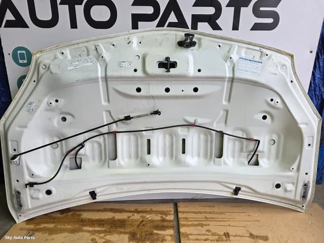 Bonnet