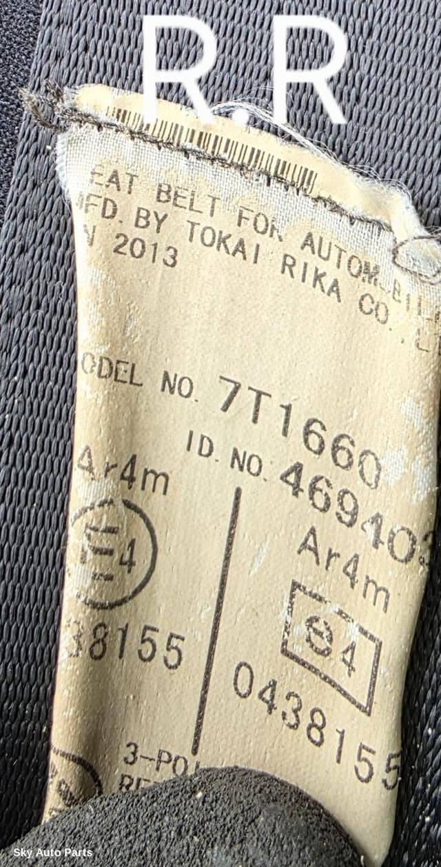 Seatbelt/Stalk